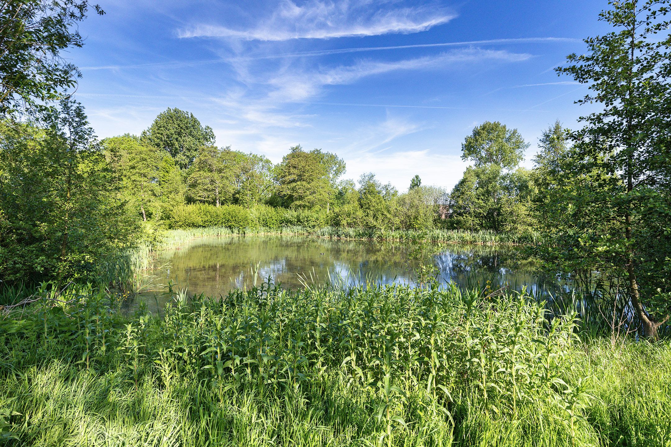 Foto 42 van Geerlanden 27