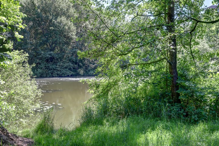 Foto 30 van Patrijzenhof 3