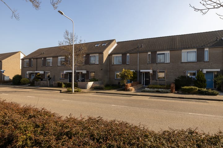 Foto 35 van Dreeslaan 82