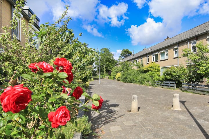 Foto 2 van Amestelle 247