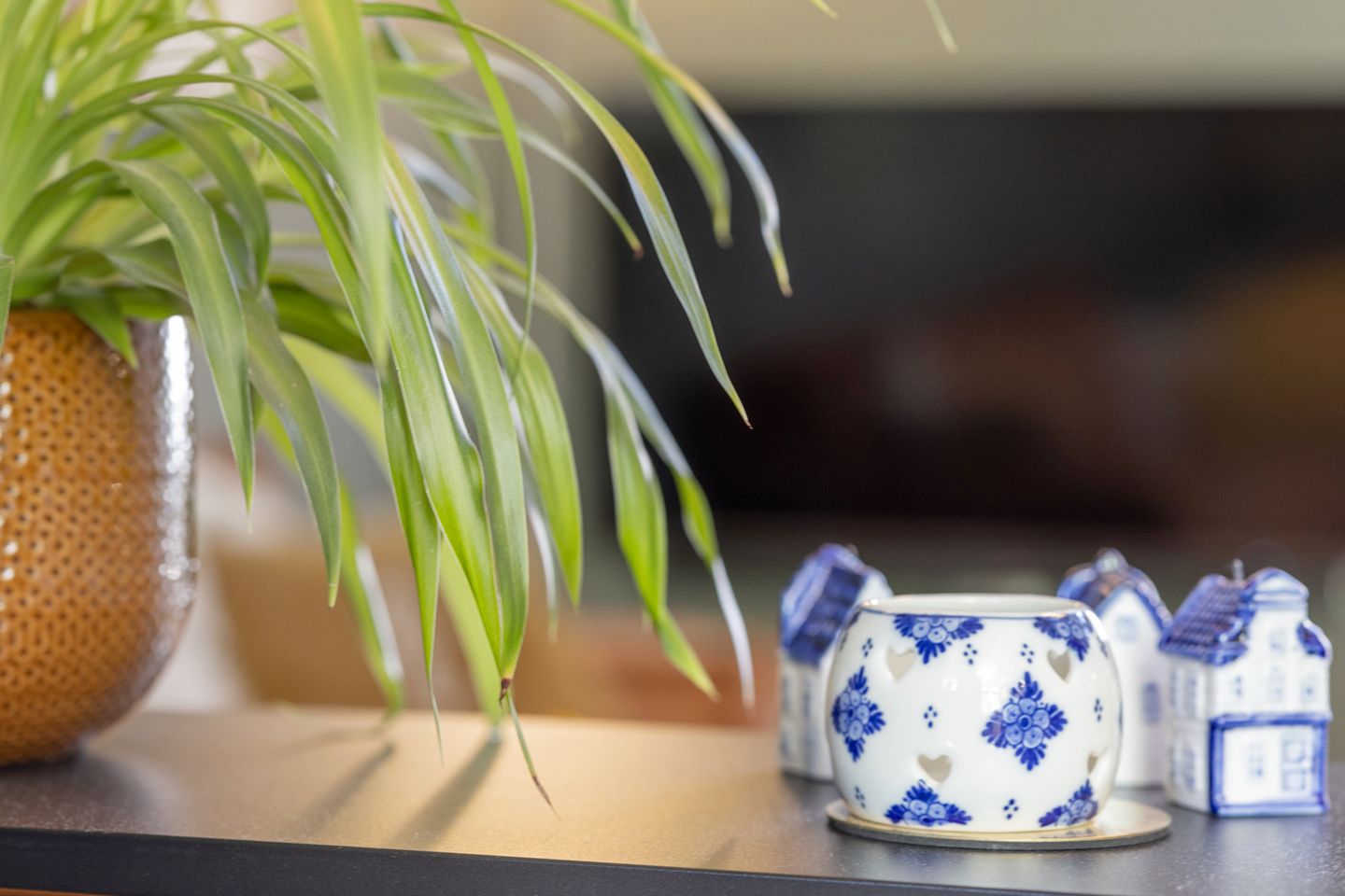 Foto 10 van Meerum Terwogtlaan 179