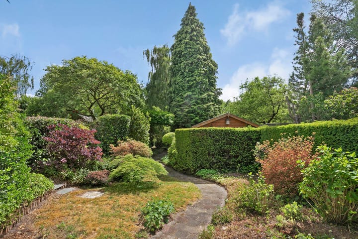 Foto 31 van Dommeldal 44