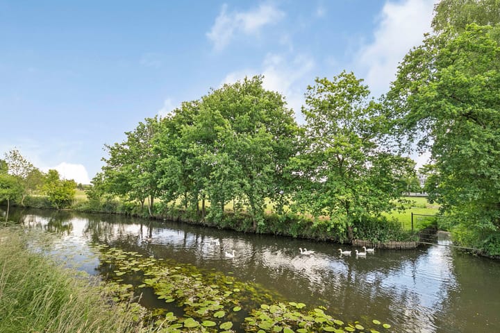 Foto 35 van Dommeldal 44