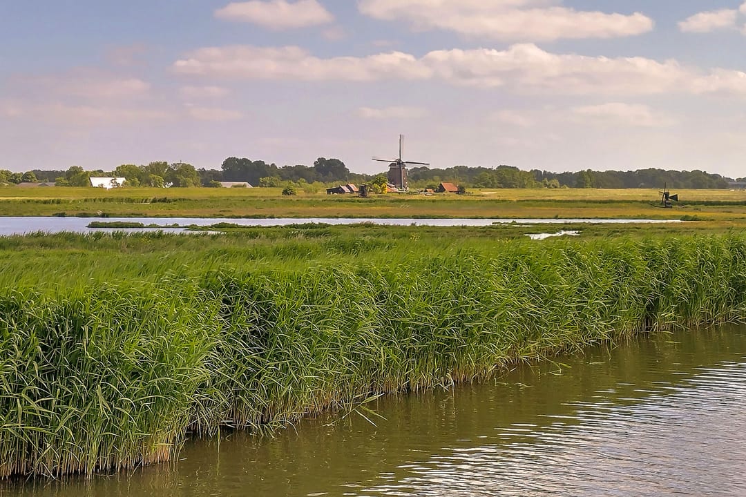 Photo 22 of Ringdijk 23-AR