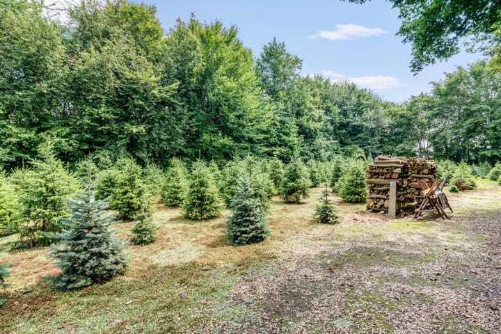 Photo 37 of Dordsedijk 119