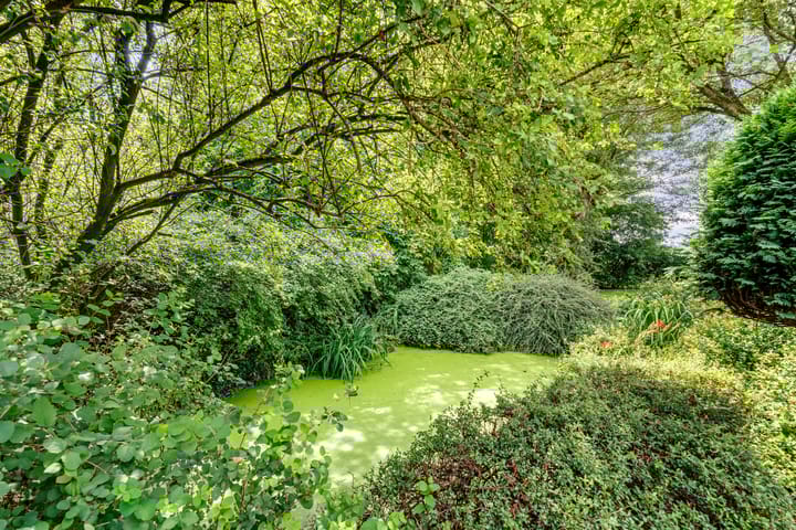 Photo 39 of Dordsedijk 119