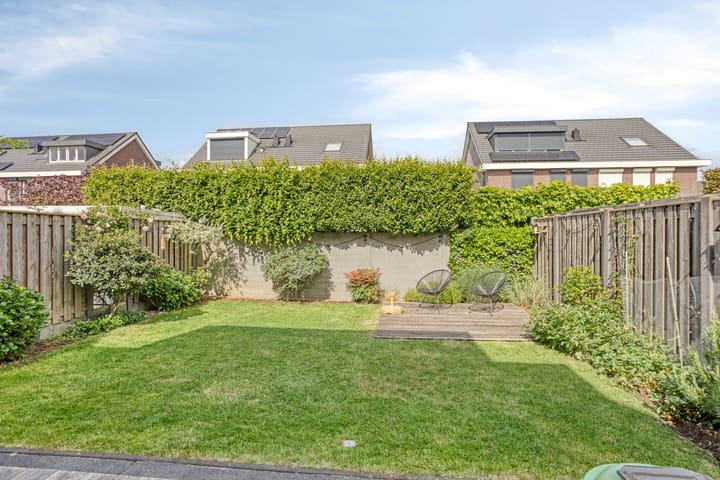 Foto 32 van Lijster 6