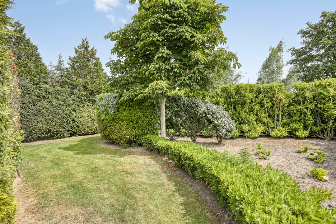 Foto 41 van Steegjesdijk 1