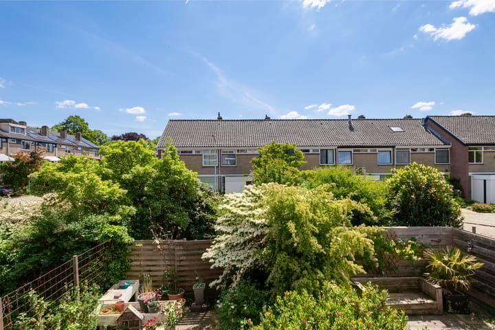 Foto 13 van Lumeystraat 29