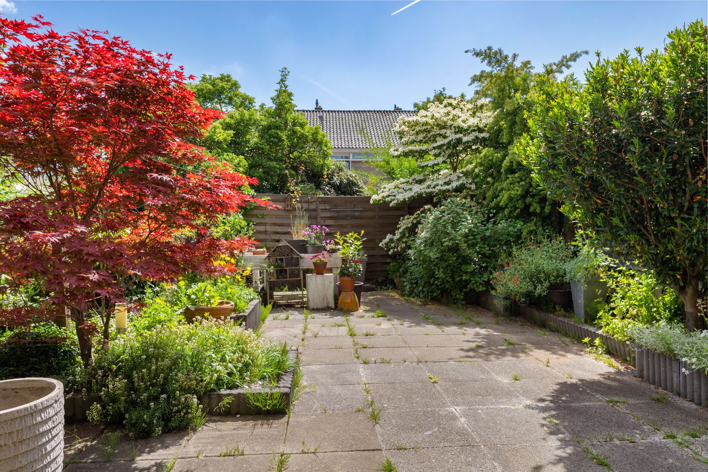 Foto 29 van Lumeystraat 29