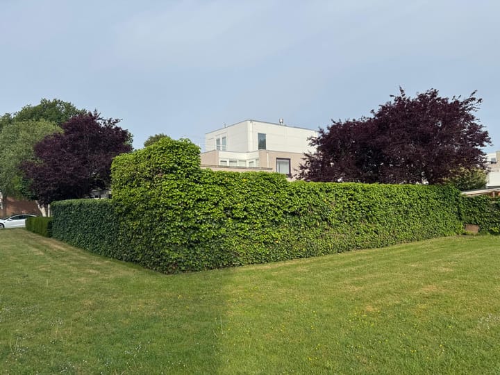 Photo 5 of Kastanjedal 6