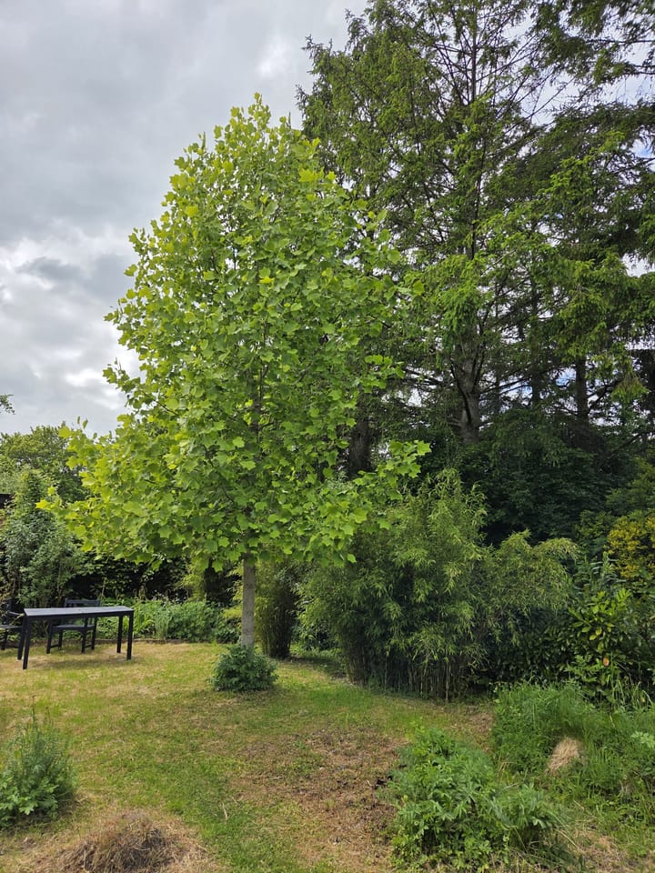 Foto 10 van Singelweg 19