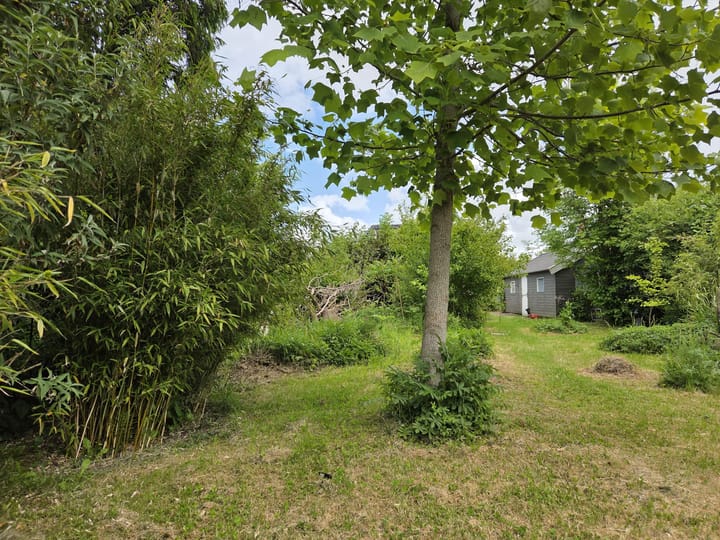 Foto 11 van Singelweg 19