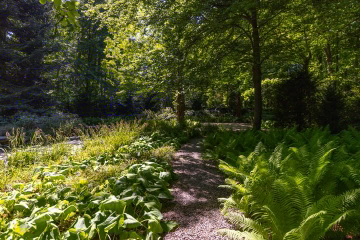 Photo 71 of Middenweg 18