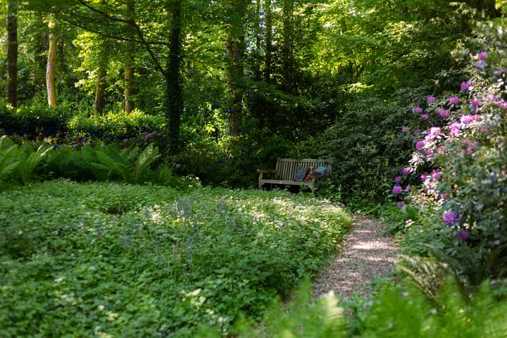 Photo 72 of Middenweg 18