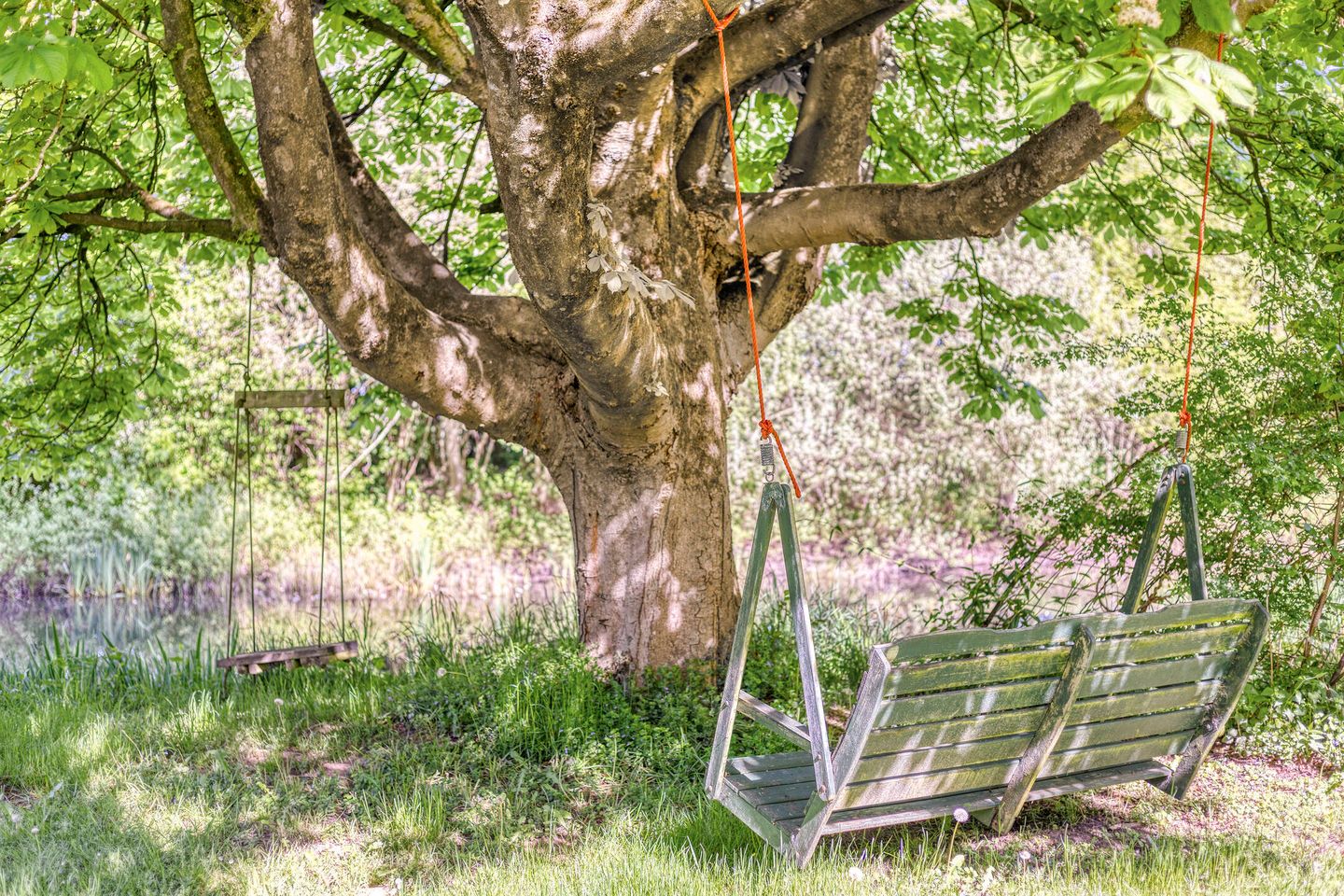 Foto 59 van Semmeltjesdijk 2