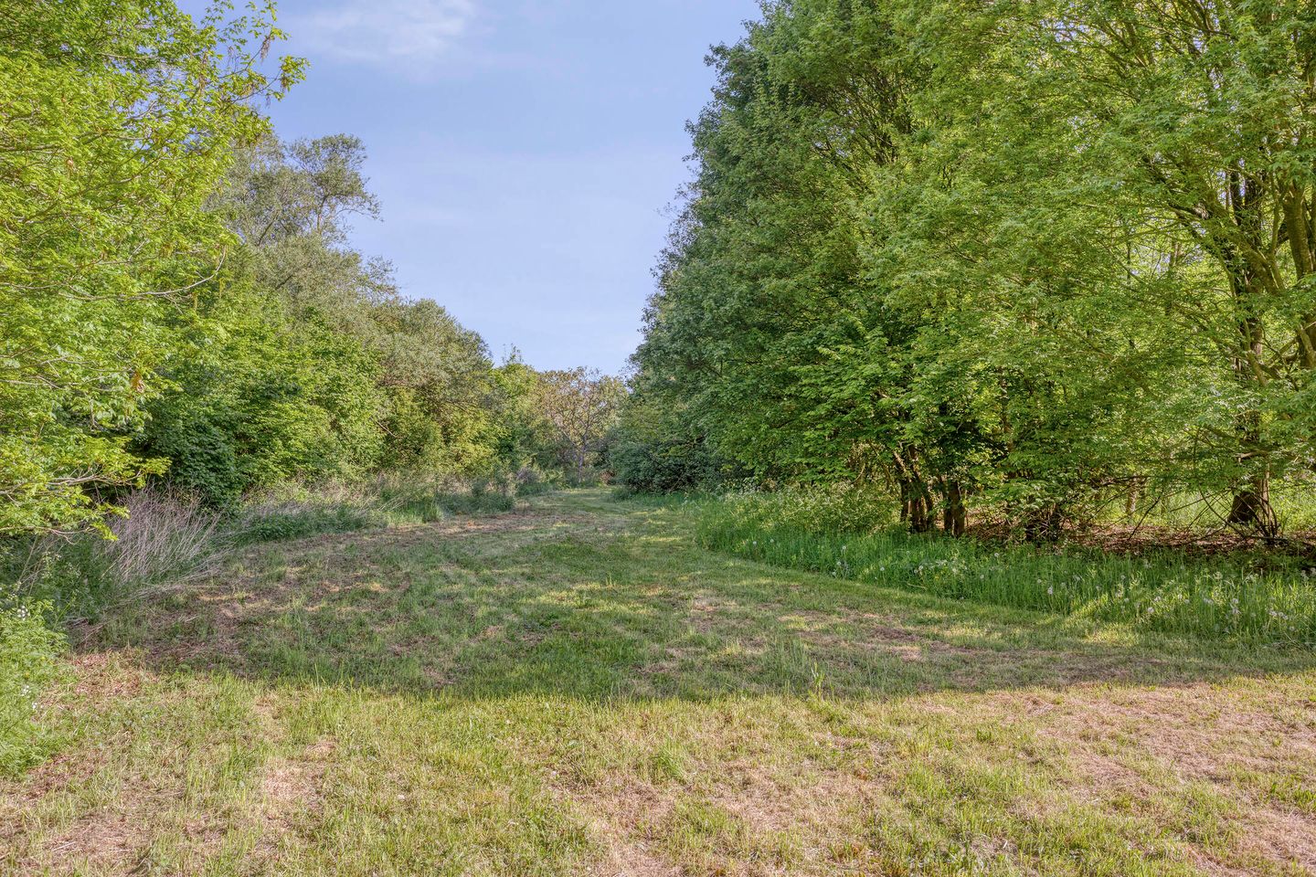 Foto 64 van Semmeltjesdijk 2