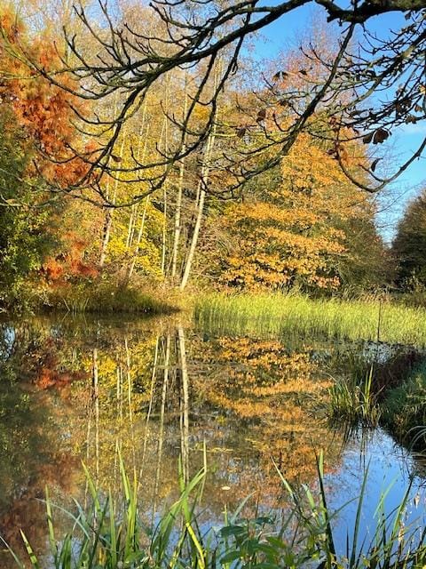 Foto 73 van Semmeltjesdijk 2