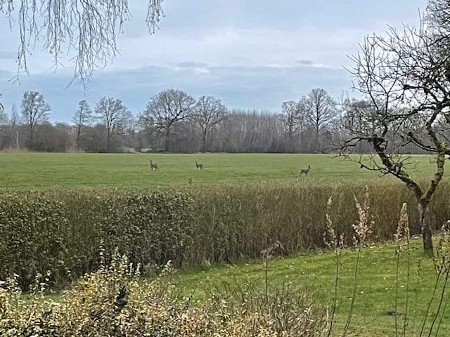 Foto 77 van Semmeltjesdijk 2