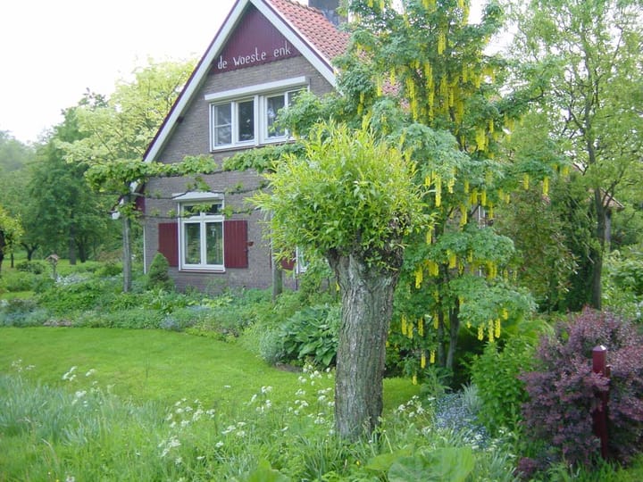 Foto 80 van Semmeltjesdijk 2