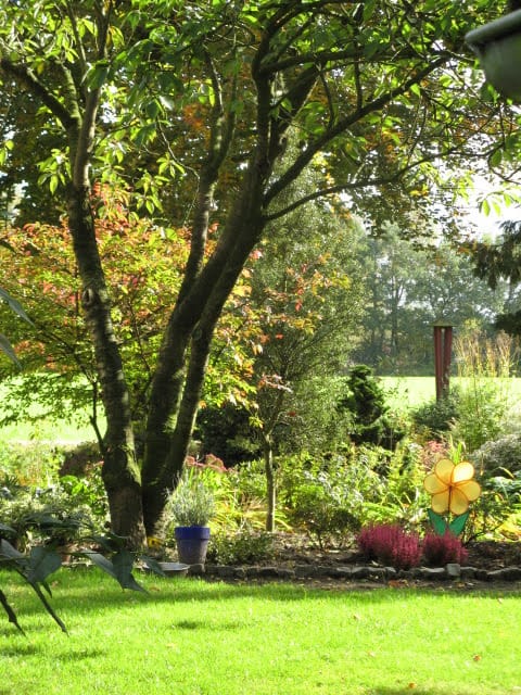 Foto 81 van Semmeltjesdijk 2