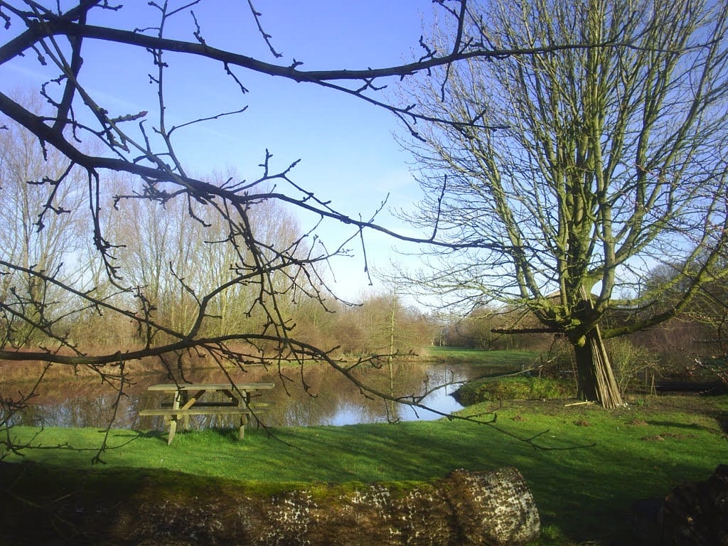 Foto 82 van Semmeltjesdijk 2