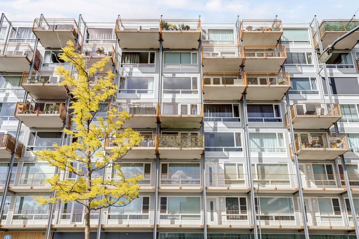 Foto 6 van Kaap Hoorn 25