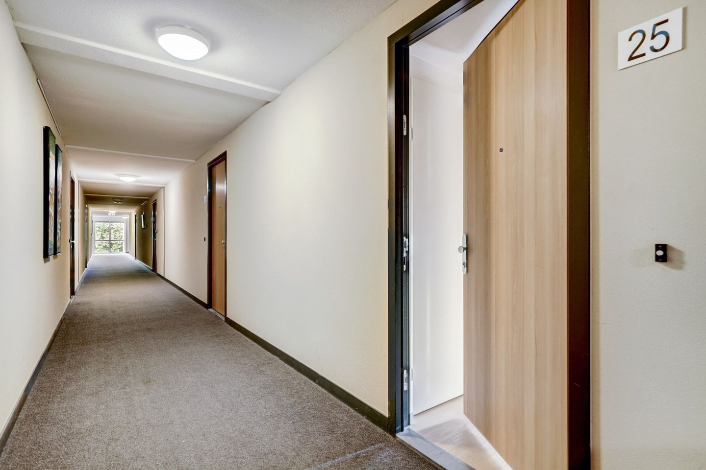 Foto 10 van Kaap Hoorn 25