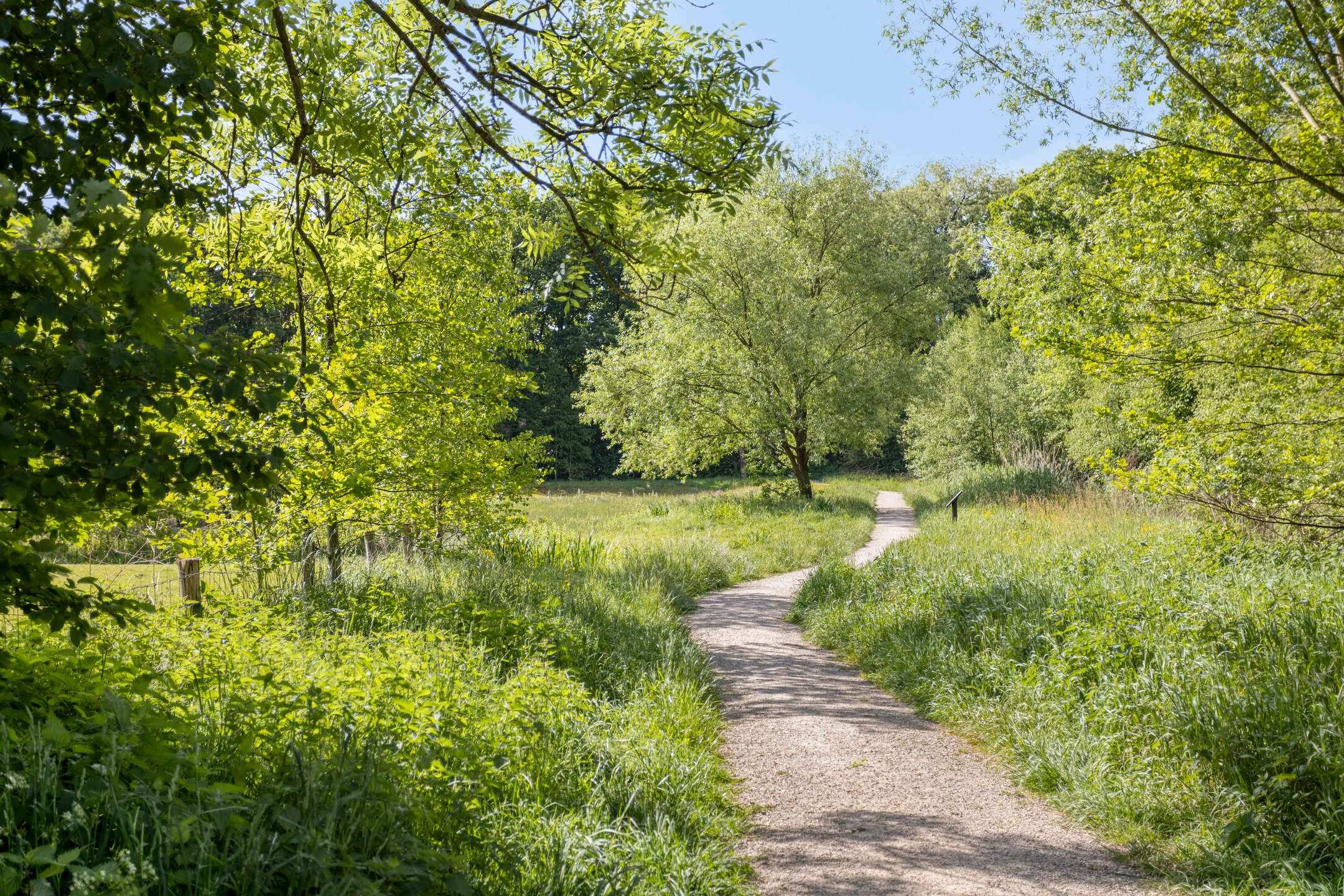 Foto 36 van Pieter de Hoochlaan 98