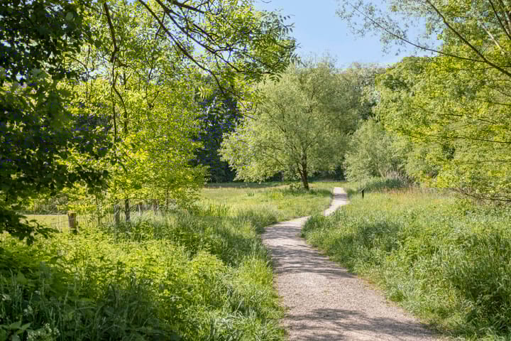 Foto 36 van Pieter de Hoochlaan 98