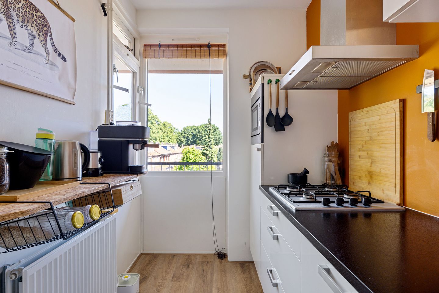 Foto 10 van Haydnstraat 24-C