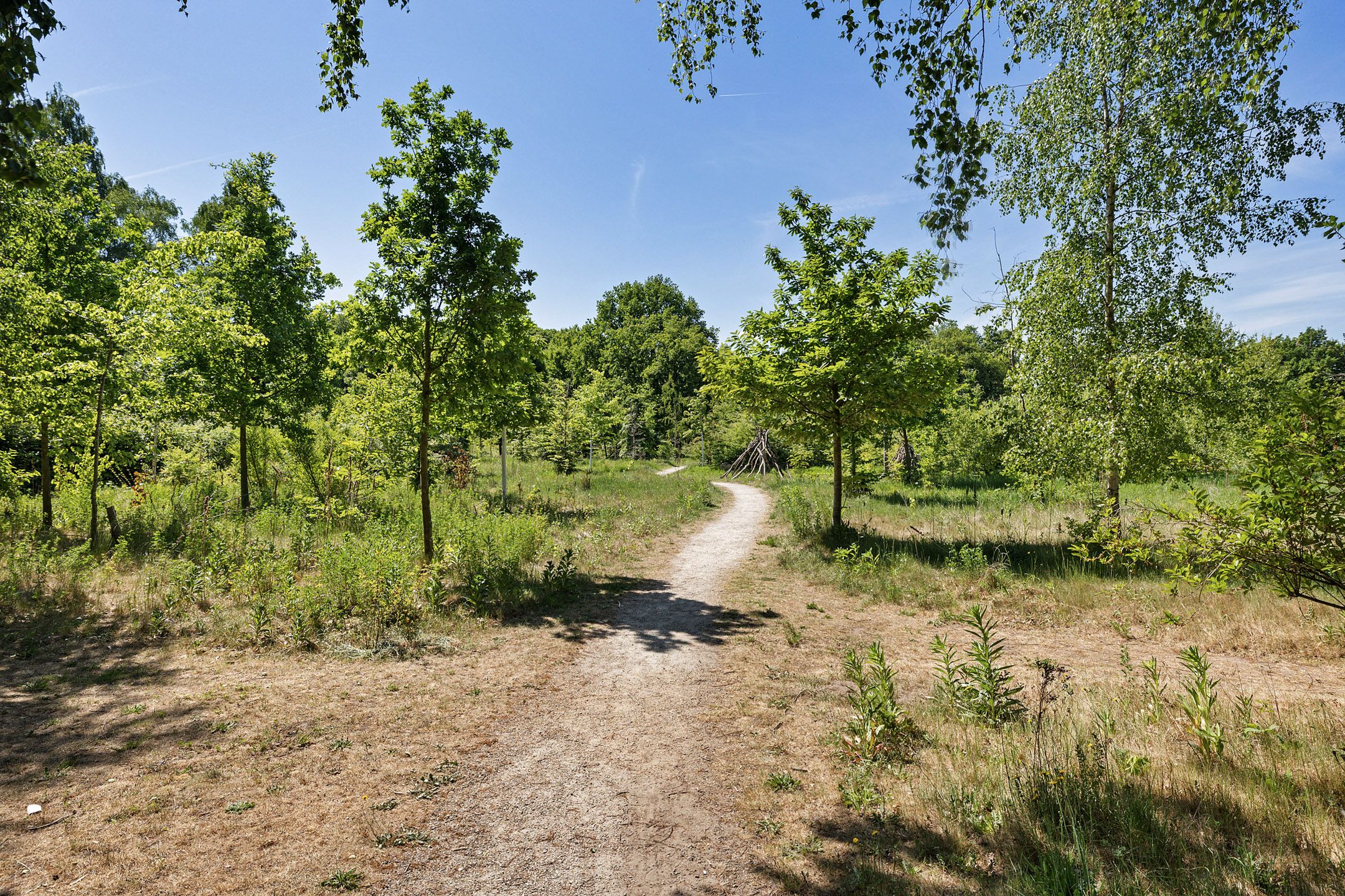 Foto 30 van Haydnstraat 24-C