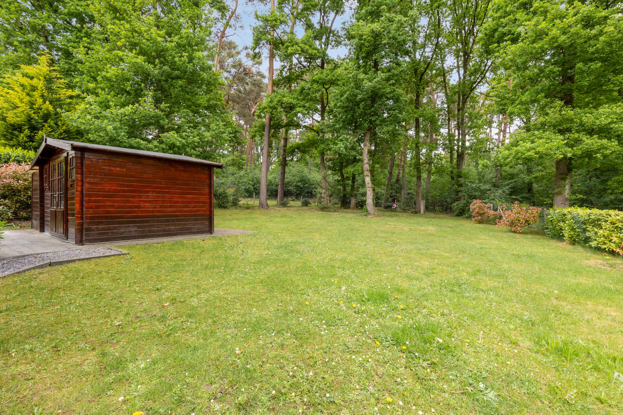 Foto 42 van Akerstraat 153-X150