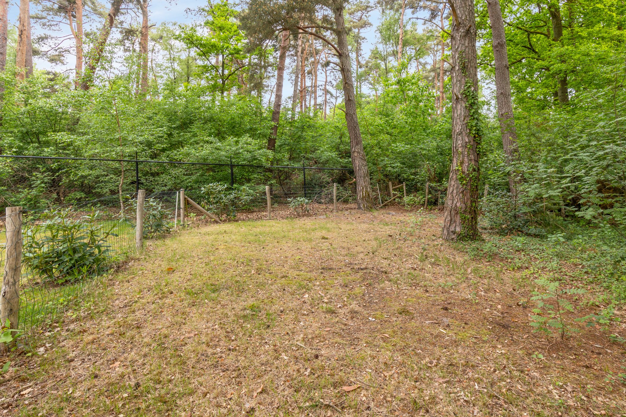 Foto 45 van Akerstraat 153-X150