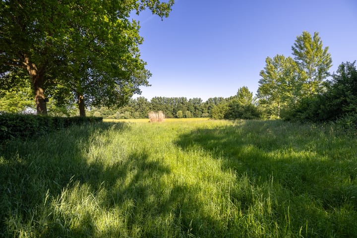 Foto 39 van Dilleveld 17