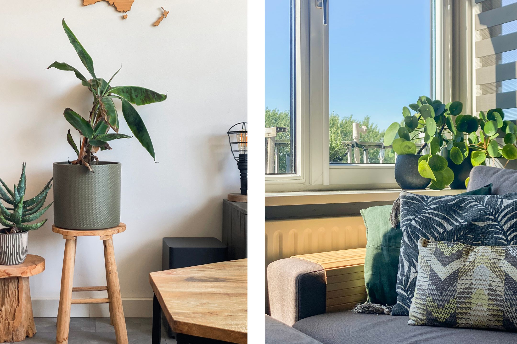 Foto 18 van Burgemeester de Raadtsingel 287