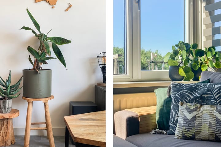 Foto 18 van Burgemeester de Raadtsingel 287