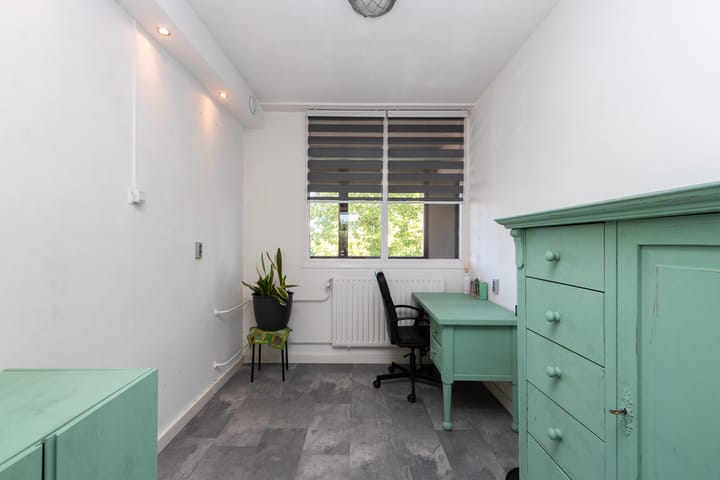 Foto 19 van Burgemeester de Raadtsingel 287