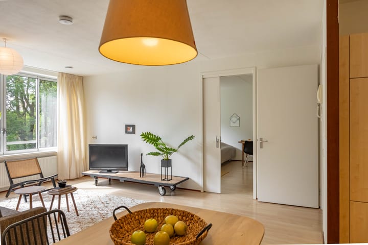 Foto 2 van Linnaeusplein 30