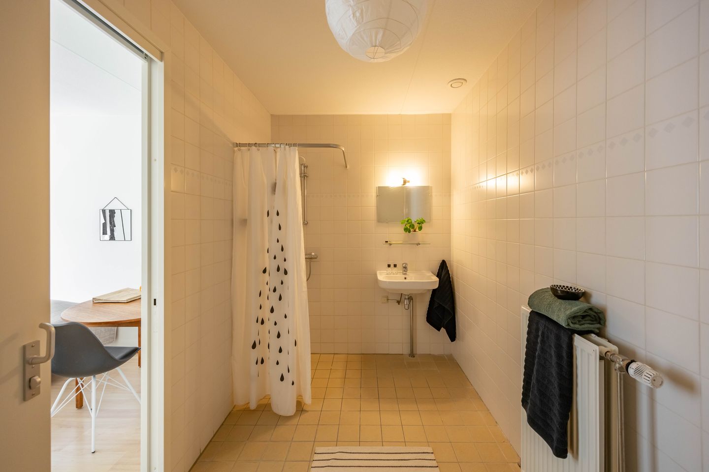 Foto 29 van Linnaeusplein 30