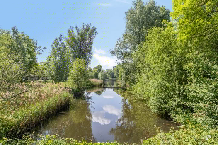 Foto 43 van Iliumstraat 10