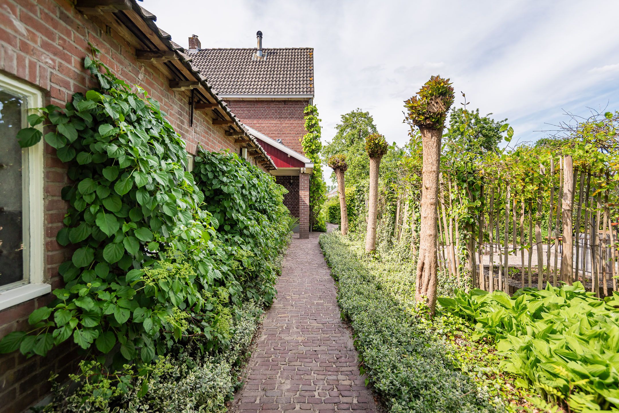 Foto 45 van Molenweg 18