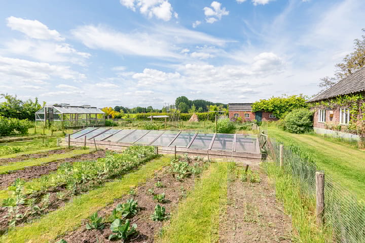 Foto 48 van Molenweg 18