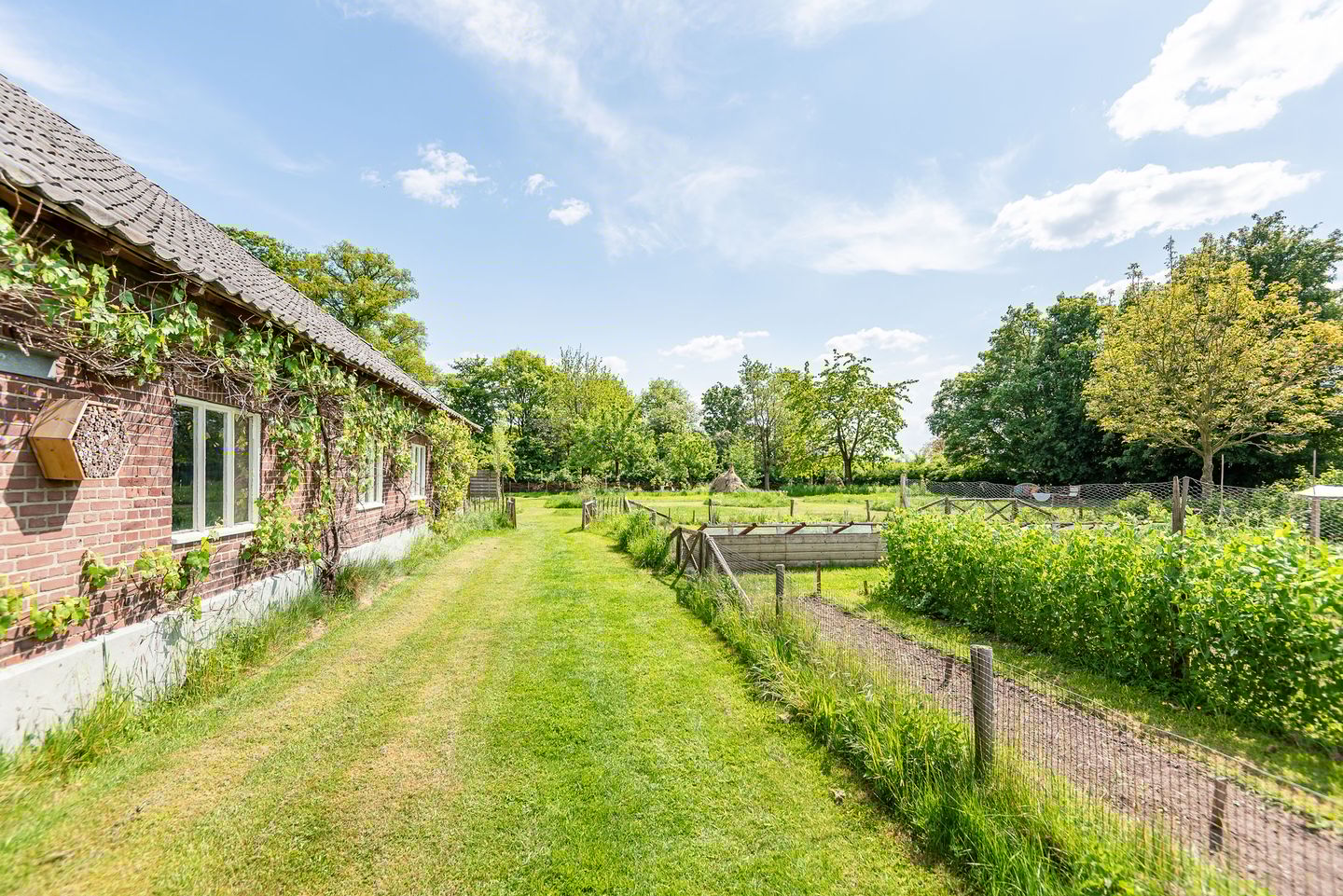 Foto 50 van Molenweg 18