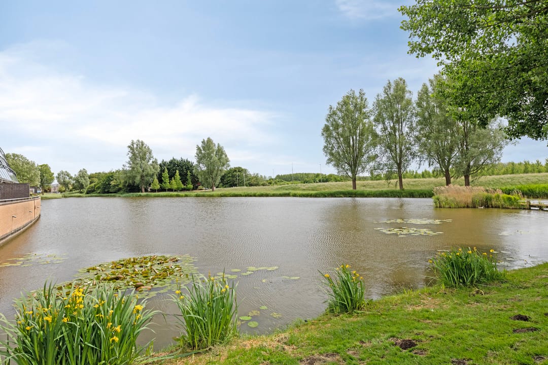 Foto 38 van Rosa Luxemburgpark 52