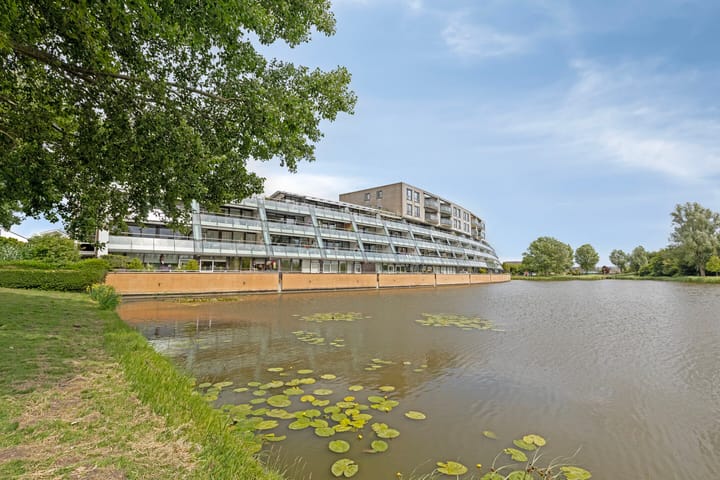 Foto 1 van Rosa Luxemburgpark 52