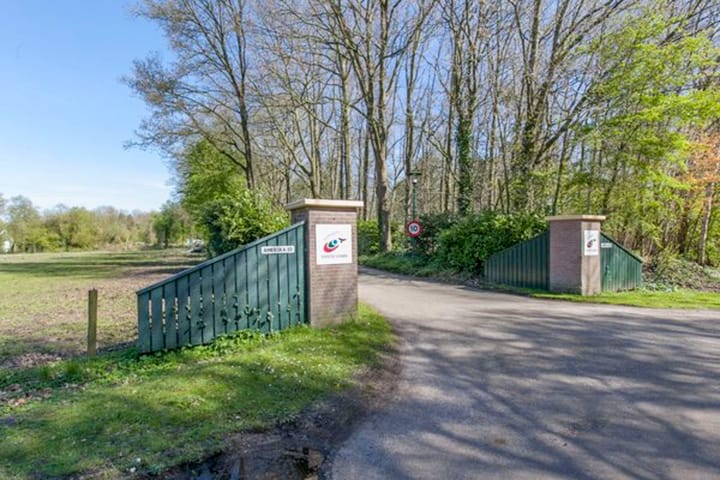 Photo 2 of Amerika 10-A