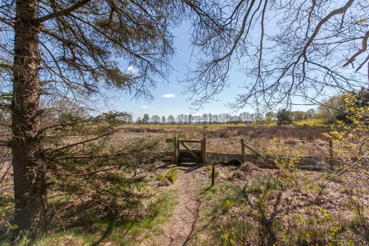 Photo 6 of Amerika 10-A