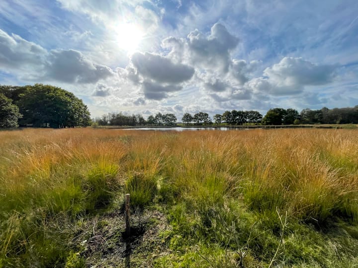 Photo 7 of Amerika 10-A