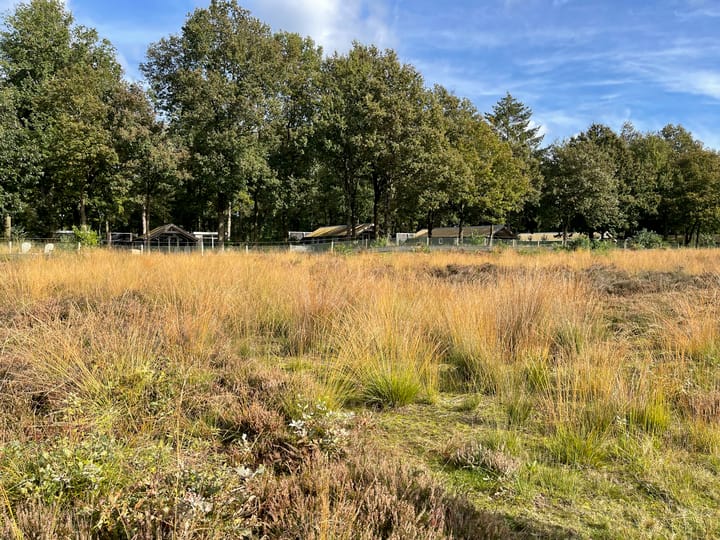 Photo 8 of Amerika 10-A